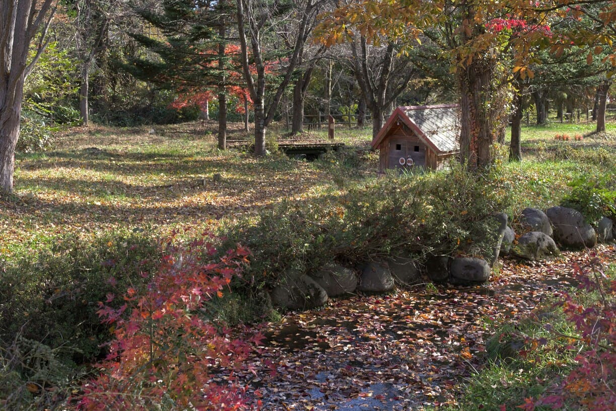 紅葉の絶景スポット完全ガイド:見頃カレンダーと穴場情報