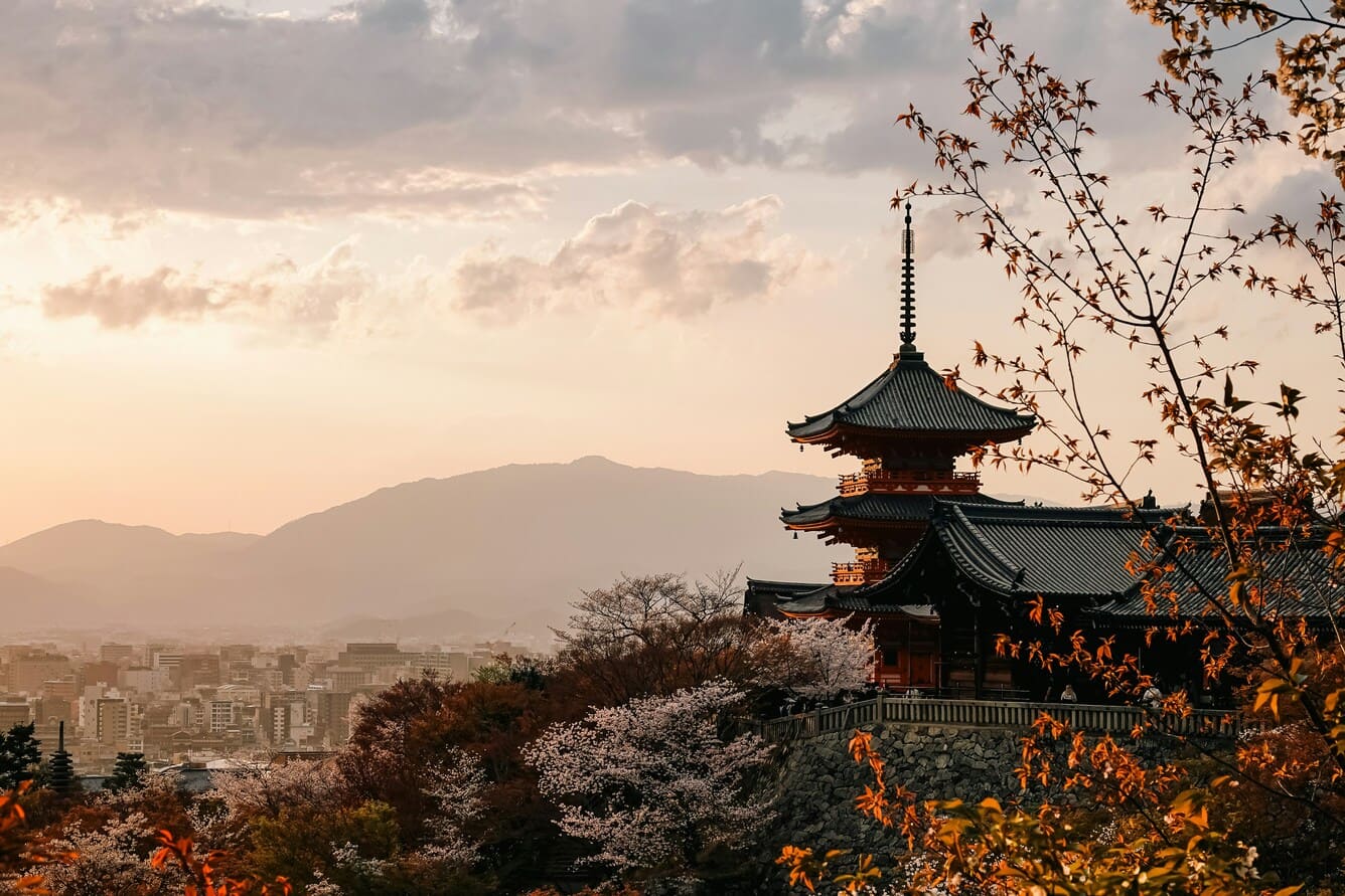 日本の桜名所ベスト10:地域別お花見完全ガイド