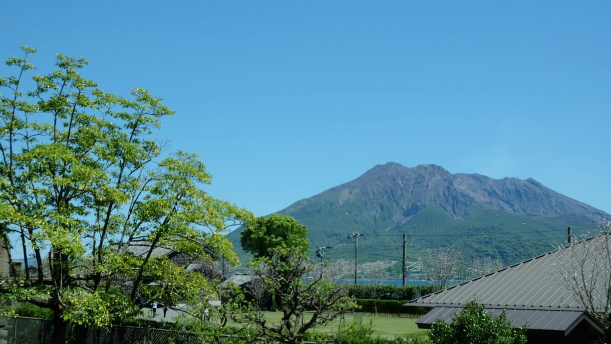 日本の花火大会ランキング:夏夜を彩る絶景花火スポット
